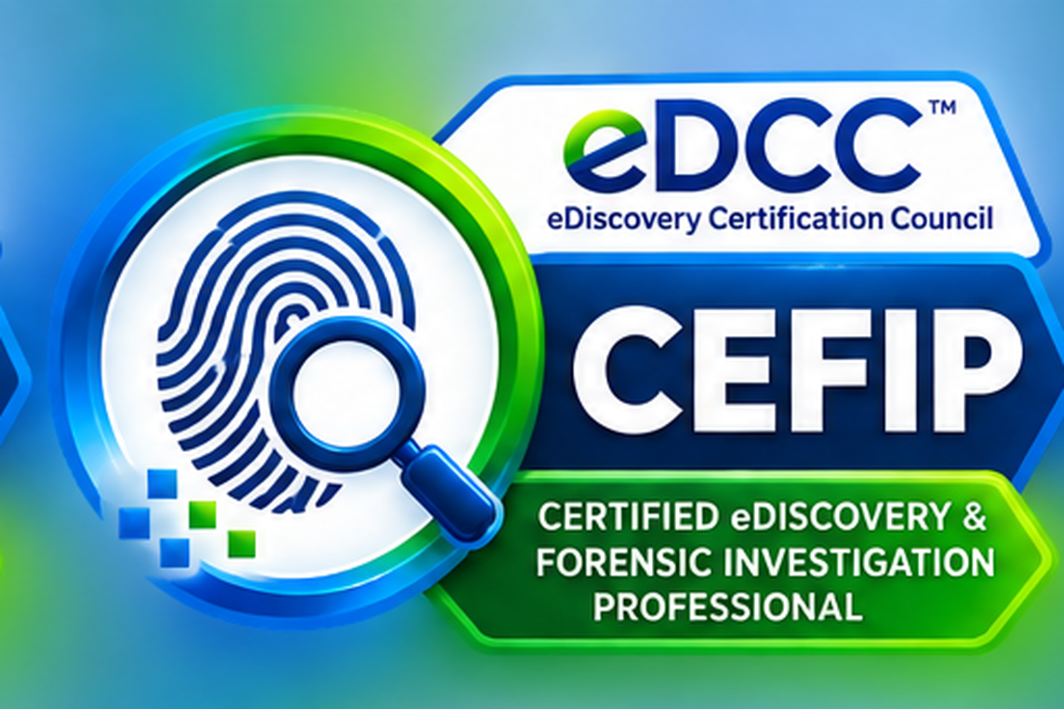 Electronic Discovery & Forensic Investigation Practitioner (CEFIP)